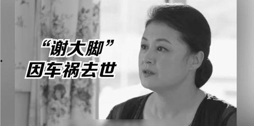 娱乐圈的吃瓜影帝章节错乱